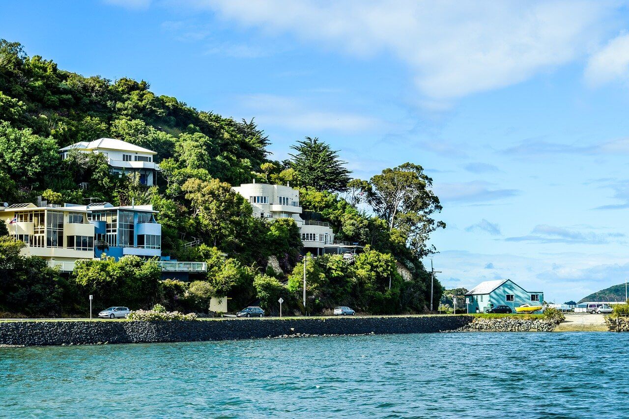 What are the Best Suburbs in Dunedin? | New Zealand Movers