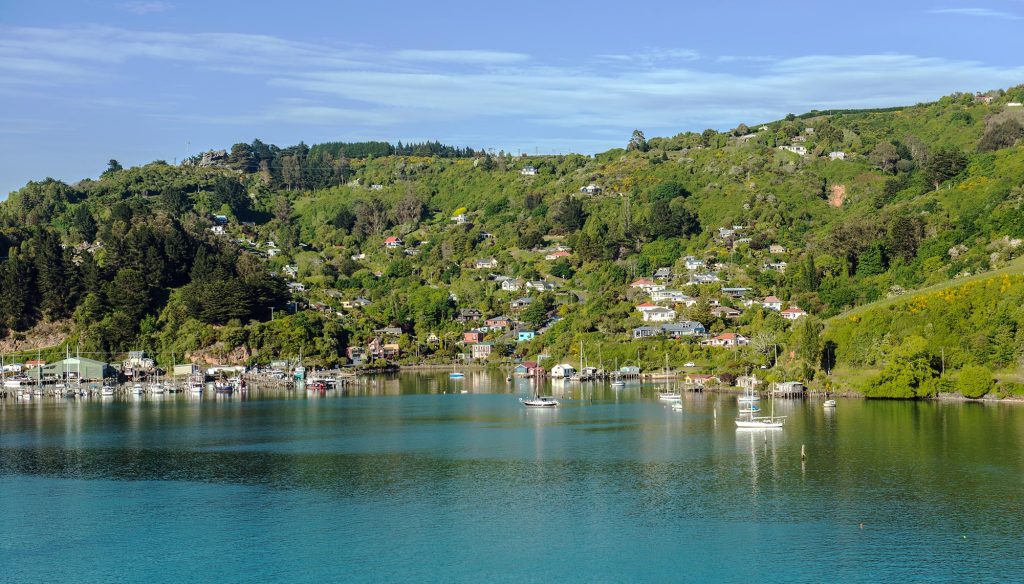 Dunedin Water Views