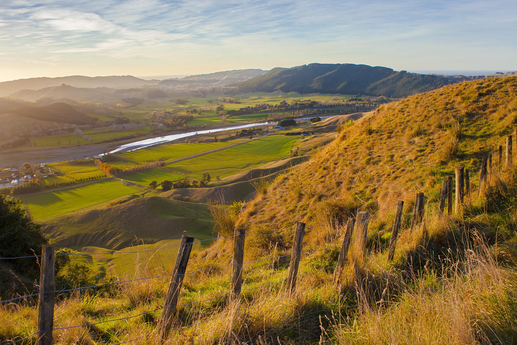 Hawkes Bay Green Hills