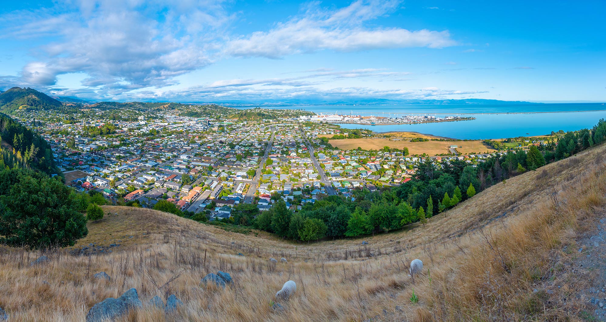 Overlooking Nelson