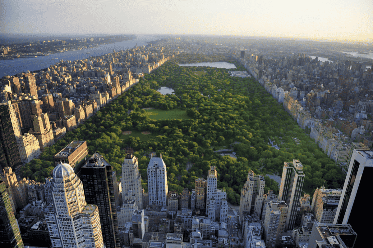 Central Park From The Sky