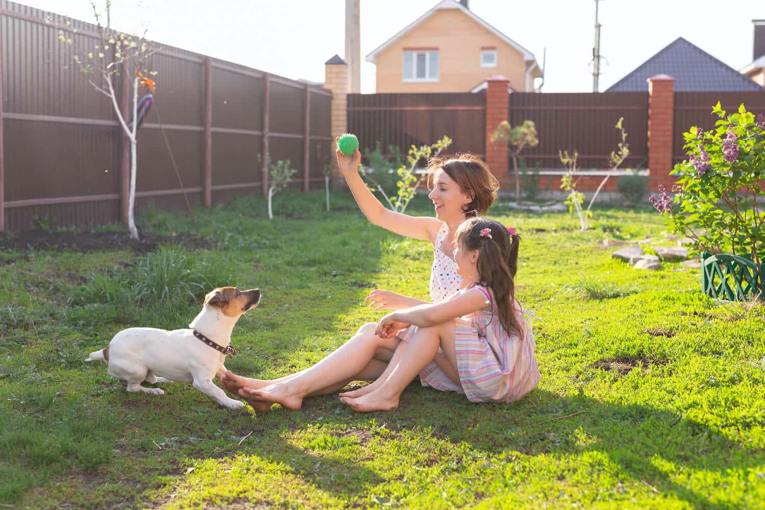 Playing In The Backyard