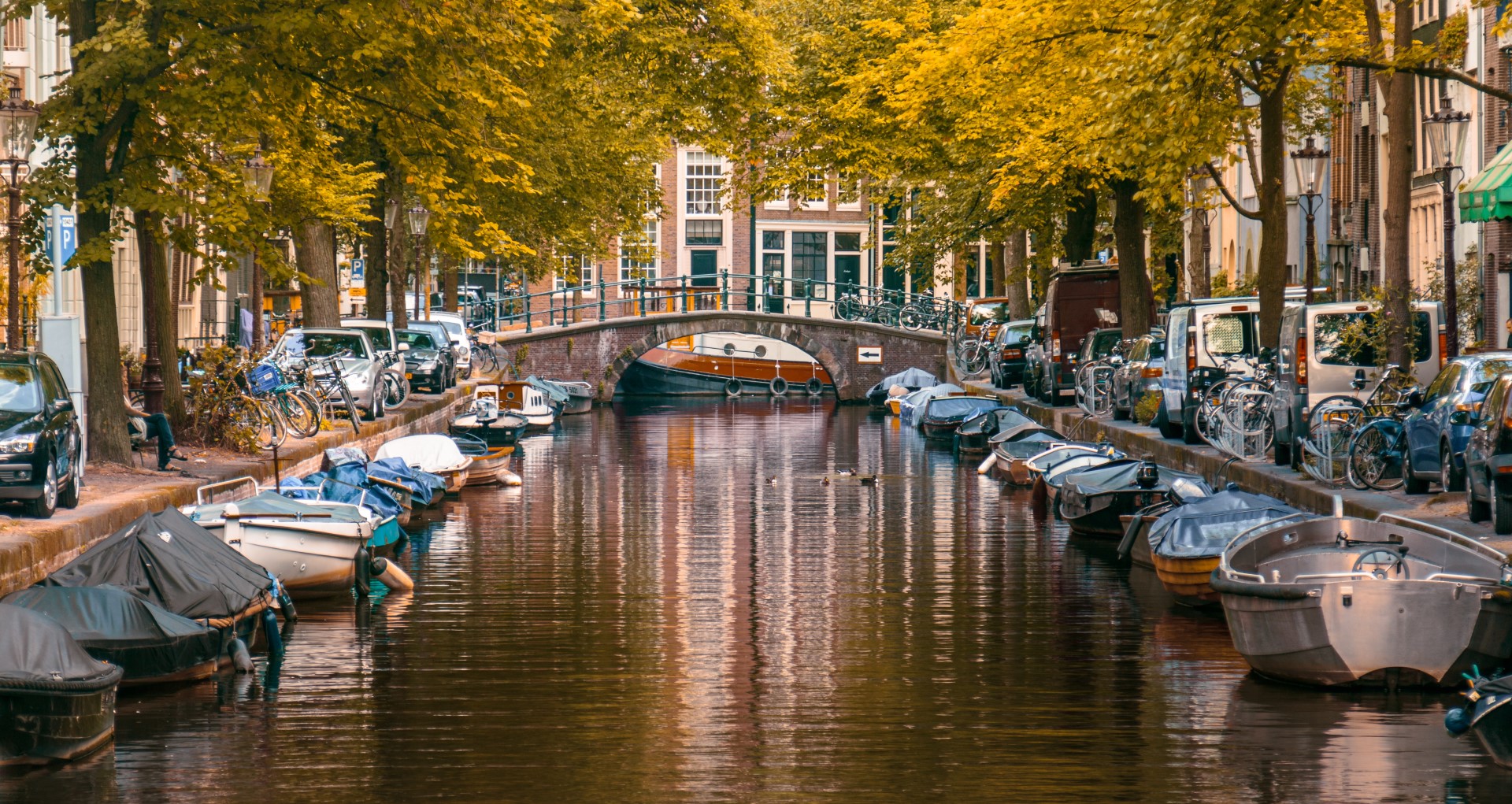 Moving to the Netherlands